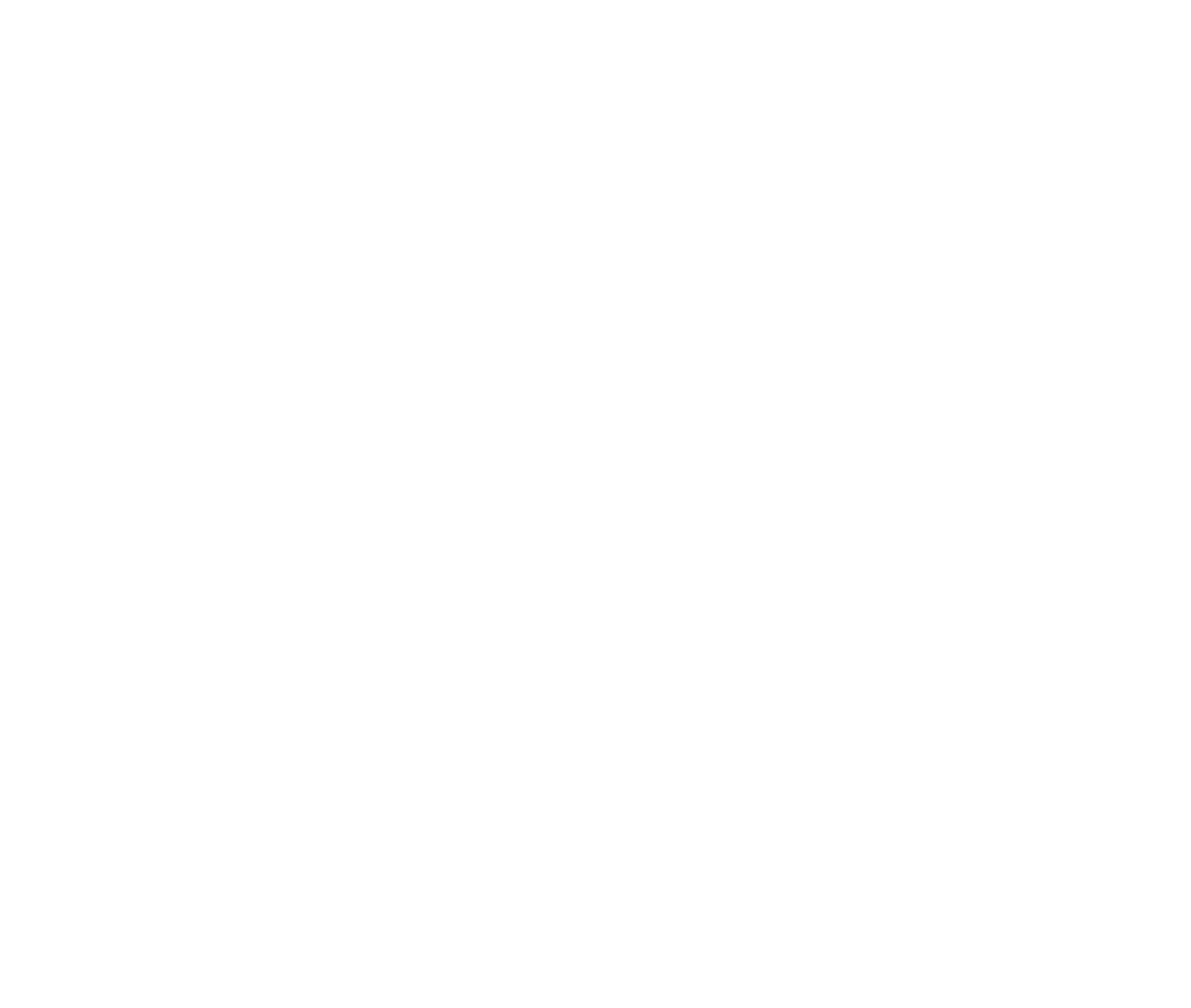 88 VIP Ventures Corp Logo